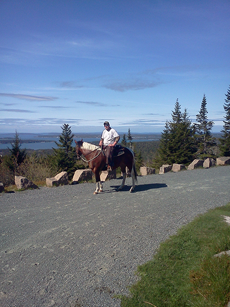 equestrian riding up day mountain in acadia national park 